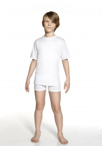 Koszulka T-shirt Young Cornette