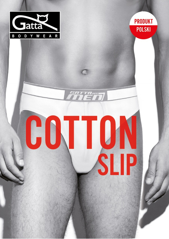 Slipy męskie Cotton Gatta - titanium